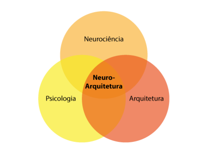imagem de 3 círculos que se juntam  no meio psicologia, arquitetura e neurociência  convertem em neuroarquitetura